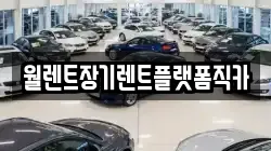 경기도 파주시 월롱면 렌트카,단기렌트카,장기렌트카,중고차,중고차매매,중고차매입
