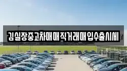 김실장중고차매매직거래매입수출시세