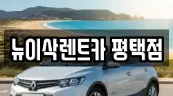 뉴이삭렌트카 평택점