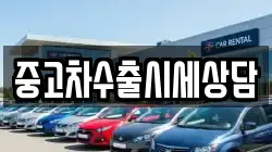 중고차수출시세상담