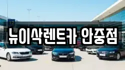 뉴이삭렌트카 안중점