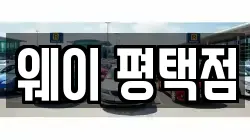 웨이 평택점