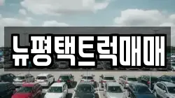 뉴평택트럭매매