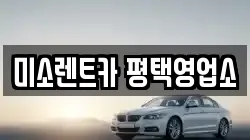 미소렌트카 평택영업소