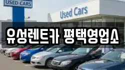 경기도 평택시 비전동 렌트카,단기렌트카,장기렌트카,중고차,중고차매매,중고차매입