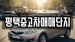 평택중고차매매단지