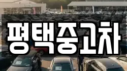 평택중고차
