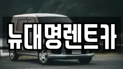 뉴대명렌트카
