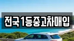 전국1등중고차매입