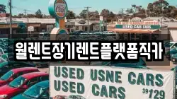경기도 평택시 서탄면 렌트카,단기렌트카,장기렌트카,중고차,중고차매매,중고차매입