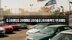 중고차매입중고차매매중고차수출중고차시세확인1톤차매입