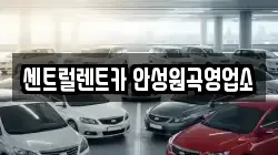 센트럴렌트카 안성원곡영업소