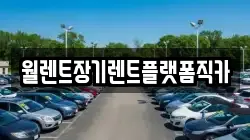 월렌트장기렌트플랫폼직카