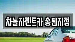 차놀자렌트카 송탄지점