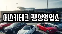 에스카테크 팽성영업소