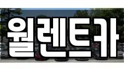 월렌트카