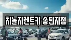 차놀자렌트카 송탄지점