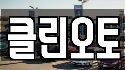 클린오토