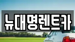 뉴대명렌트카