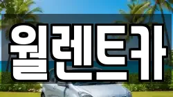월렌트카