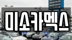 미소카멕스