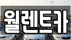 월렌트카