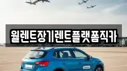월렌트장기렌트플랫폼직카