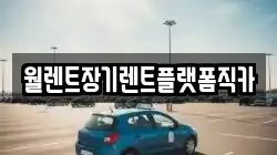 월렌트장기렌트플랫폼직카