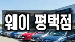 웨이 평택점