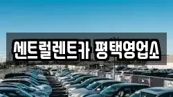 센트럴렌트카 평택영업소