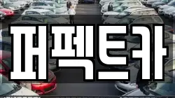퍼펙트카