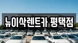 뉴이삭렌트카 평택점
