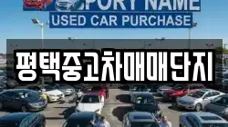 평택중고차매매단지