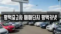 평택중고차 매매단지 평택카넷