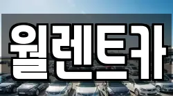 월렌트카