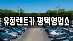 경기도 평택시 합정동 렌트카,단기렌트카,장기렌트카,중고차,중고차매매,중고차매입