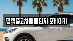 평택중고차매매단지 오케이카