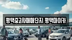 평택중고차매매단지 평택마이카