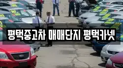 평택중고차 매매단지 평택카넷