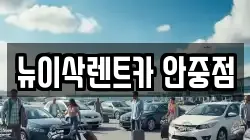 뉴이삭렌트카 안중점