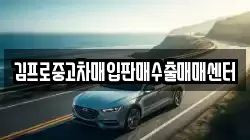 김프로중고차매입판매수출매매센터