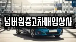 넘버원중고차매입상사