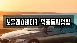 노블레스렌터카 덕풍동사업장
