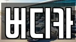 버디카
