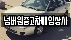 넘버원중고차매입상사