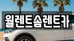 월렌트솜렌트카