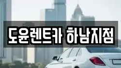 도윤렌트카 하남지점