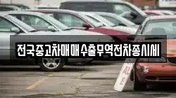 전국중고차매매수출무역전차종시세