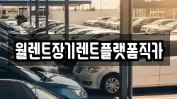 월렌트장기렌트플랫폼직카