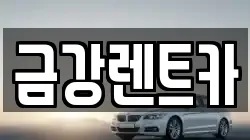 금강렌트카